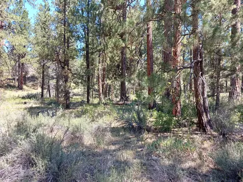 0 Oriole Drive Bonanza OR 97623