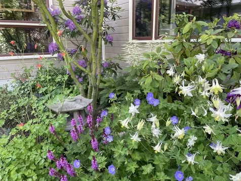 148 N Wightman Street Ashland OR 97520