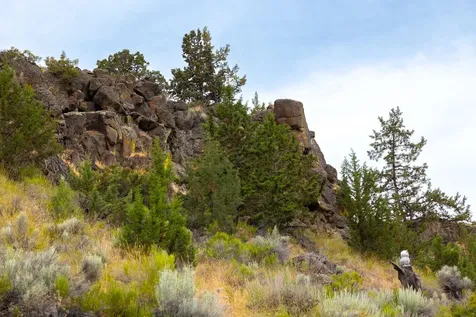 11756 SW Horny Hollow Trail Terrebonne OR 97760