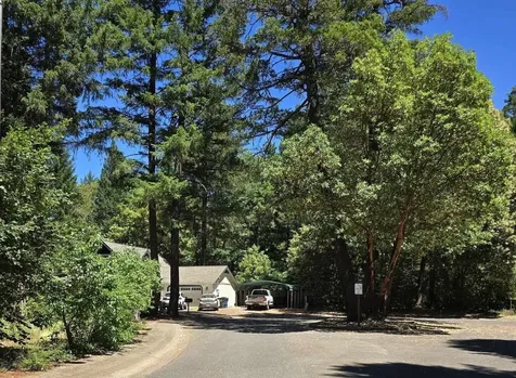 488 Addison Lane Cave Junction OR 97523