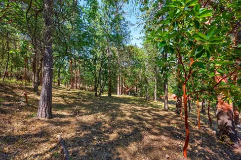 235 Granite Street Ashland OR 97520