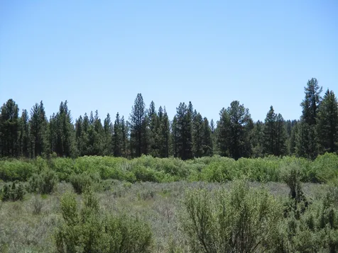 14914 Sprague River Road Chiloquin OR 97624