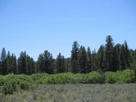 14914 Sprague River Road Chiloquin OR 97624