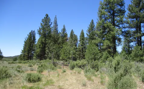 14914 Sprague River Road Chiloquin OR 97624