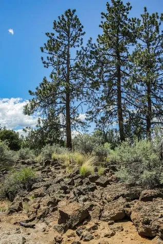 60604 Woodside Road Bend OR 97702