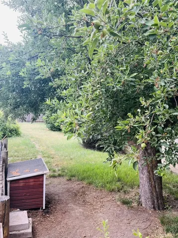 4436 Boardman Avenue Klamath Falls OR 97603