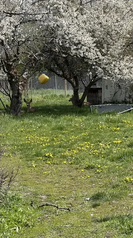 1845 Derby Street Klamath Falls OR 97603