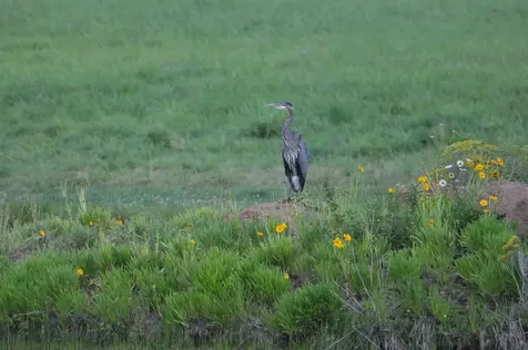 64095 Tamoli Lane Bend OR 97703