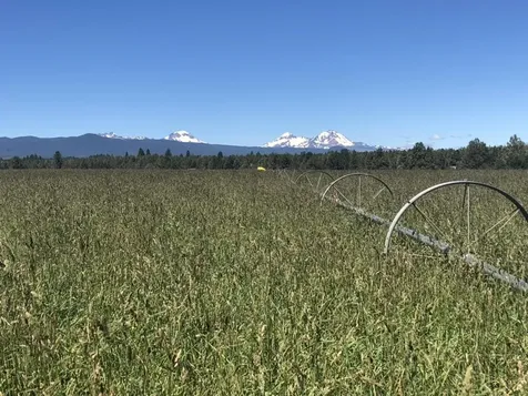 64095 Tamoli Lane Bend OR 97703