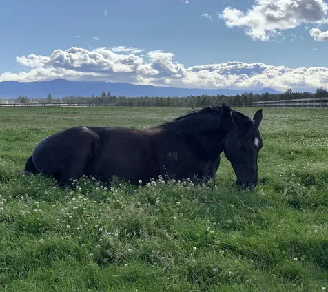 64095 Tamoli Lane Bend OR 97703