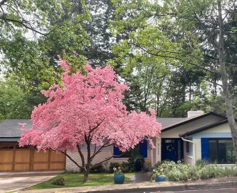 1024 Pinecrest Terrace Ashland OR 97520