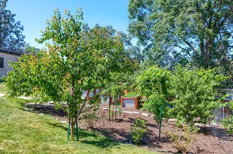 384 Kearney Street Ashland OR 97520