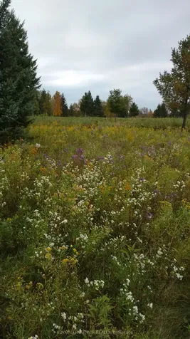 8757 9th Line N/a Essa ON L0L 2N0