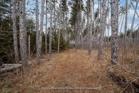 7892 5th Side Road Adjala-tosorontio ON L0N 1P0