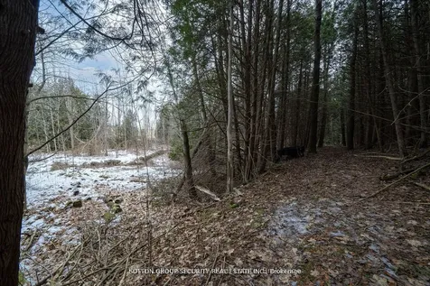 7892 5th Side Road Adjala-tosorontio ON L0N 1P0