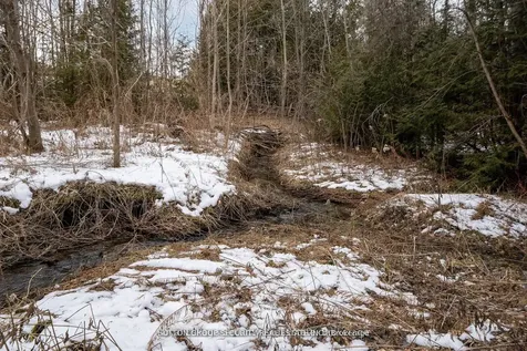 7892 5th Side Road Adjala-tosorontio ON L0N 1P0