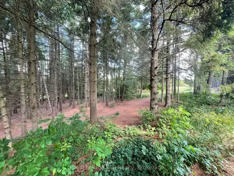 1922 Concession 4 Road Adjala-tosorontio ON L0G 1L0