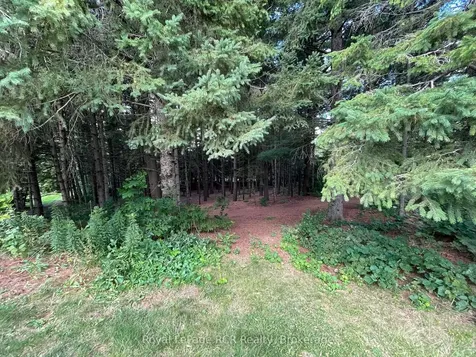 1922 Concession 4 Road Adjala-tosorontio ON L0G 1L0