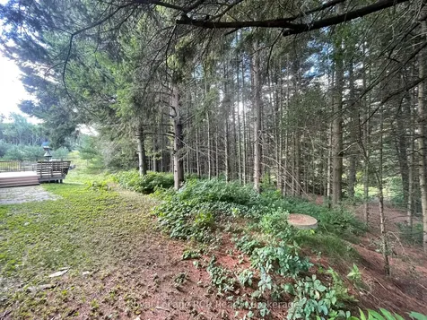 1922 Concession 4 Road Adjala-tosorontio ON L0G 1L0