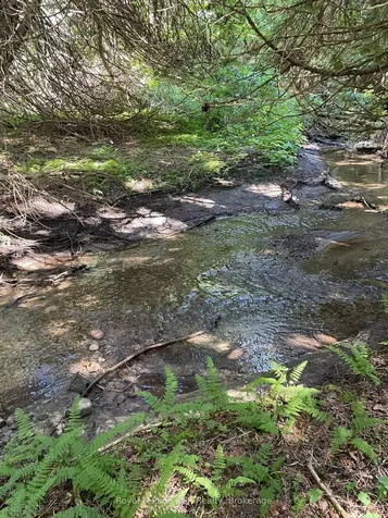 1922 Concession 4 Road Adjala-tosorontio ON L0G 1L0