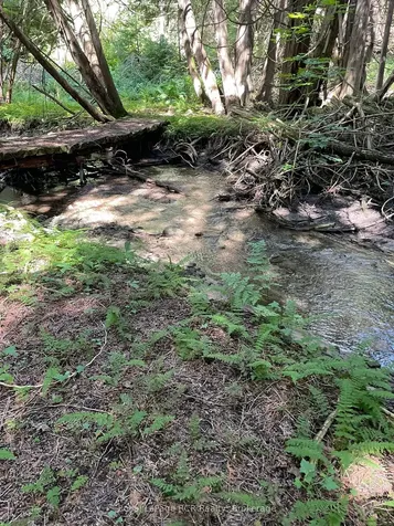 1922 Concession 4 Road Adjala-tosorontio ON L0G 1L0