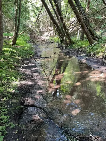 1922 Concession 4 Road Adjala-tosorontio ON L0G 1L0