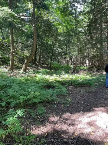 1922 Concession 4 Road Adjala-tosorontio ON L0G 1L0