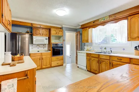 7987 County Road 1 N/a Adjala-tosorontio ON L0G 1L0