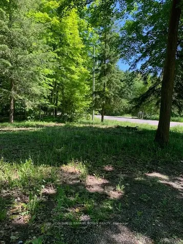 6444 3rd Line Essa ON L9R 1V2