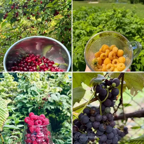 18662 Highway 48 N/a East Gwillimbury ON L0G 1M0