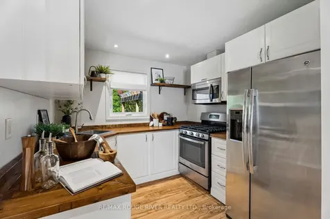20 Lorne Street Georgina ON L0E 1L0