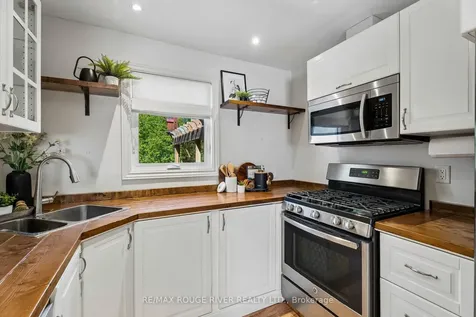 20 Lorne Street Georgina ON L0E 1L0