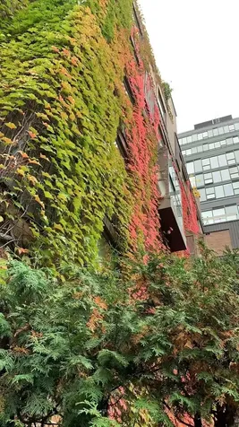 19 Dundonald Street Toronto ON M4Y 1K3