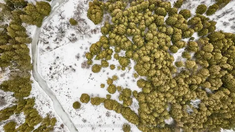 71 Beverton Crescent Ajax ON L1T 4R8