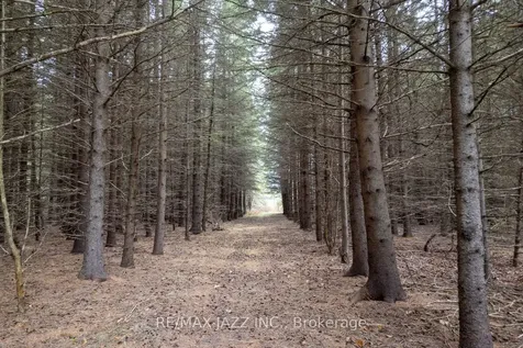 190 King Lane Clarington ON L0B 1J0