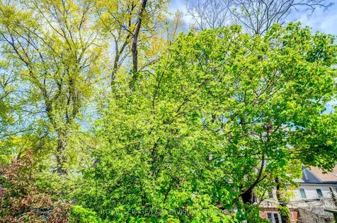 23 Empire Avenue Toronto ON M4M 2L3