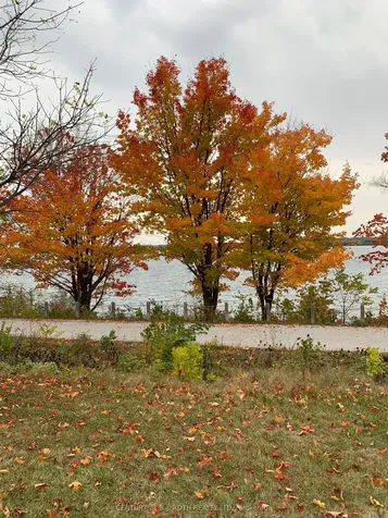 14 Street Vincent Street Barrie ON L4M 3Y2