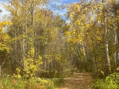 10 Little River Crossing N/a Wasaga Beach ON L9Z 0J8