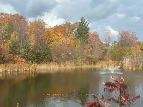 10 Little River Crossing N/a Wasaga Beach ON L9Z 0J8