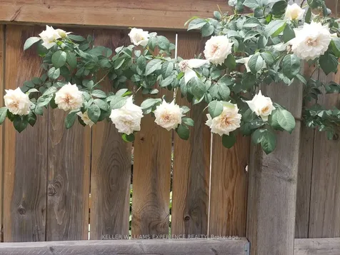 14 Charlemagne Avenue Barrie ON L4M 0A9