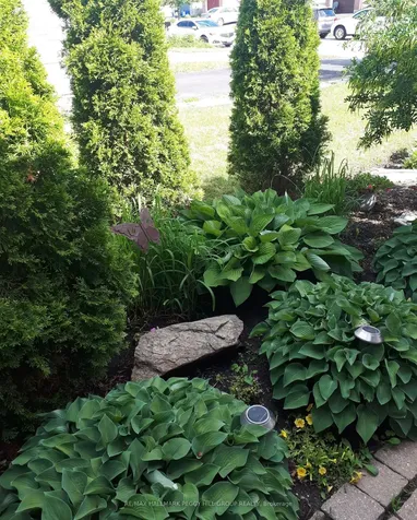 71 Radenhurst Crescent Barrie ON L4M 6C5