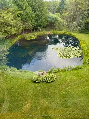 8444 21/22 Nottawasaga Side Road Clearview ON L0M 1H0