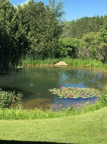 8444 21/22 Nottawasaga Side Road Clearview ON L0M 1H0