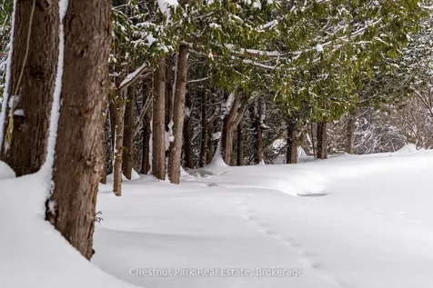 8444 21/22 Nottawasaga Side Road Clearview ON L0M 1H0