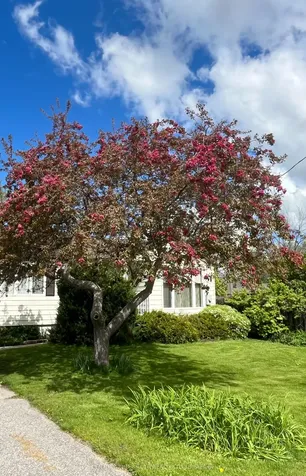 28 Adelaide Street Barrie ON L4N 3T5