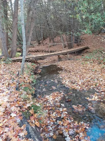 1012 Sixth Street Clearview ON L9Y 3Y9