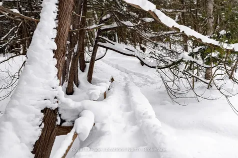 1012 Sixth Street Clearview ON L9Y 3Y9