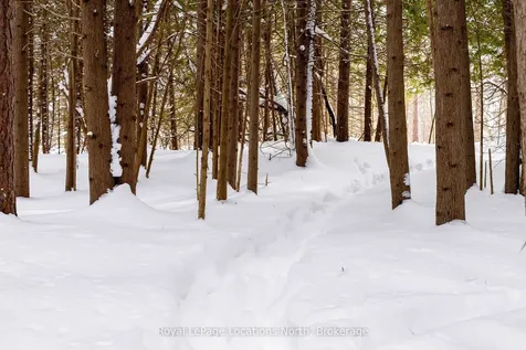 1012 Sixth Street Clearview ON L9Y 3Y9