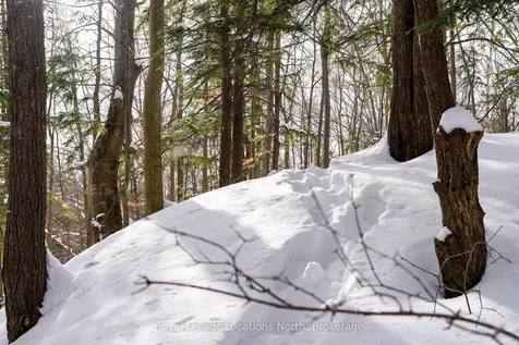 1012 Sixth Street Clearview ON L9Y 3Y9