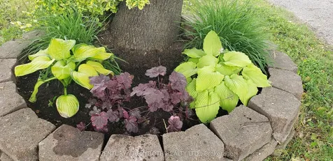 71 Garden Drive Barrie ON L4N 5T9